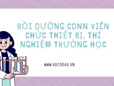 Bồi dưỡng CDNN viên chức thiết bị, thí nghiệm trường học