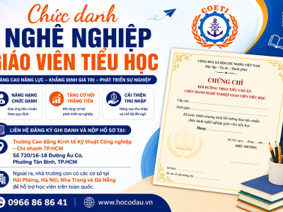 Chức danh nghề nghiệp giáo viên tiểu học