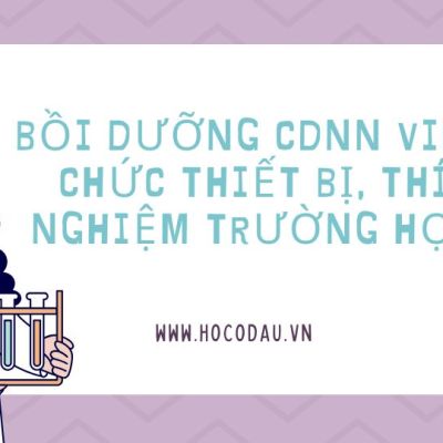 Bồi dưỡng CDNN viên chức thiết bị, thí nghiệm trường học